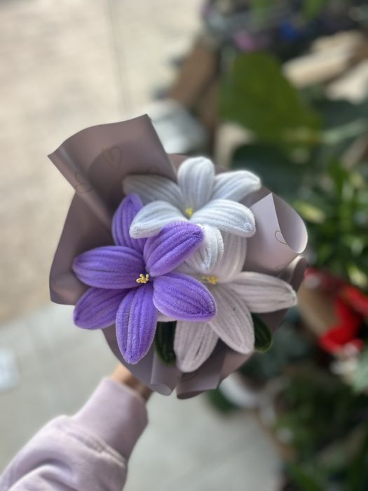 Вечни цветя в саксия