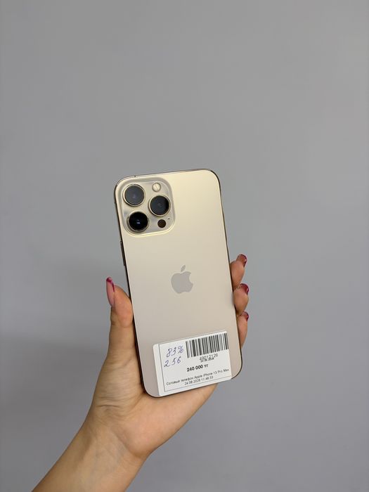 iPhone 13 Pro Max/ Айфон 13 Про макс