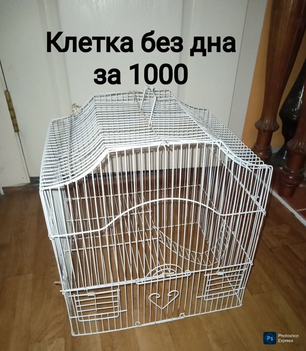 Клетки для хомяков и попугаев недорого