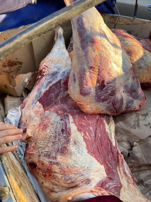 Мякоть без кости,халяль