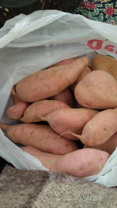 Батат  клубни 1500за кг