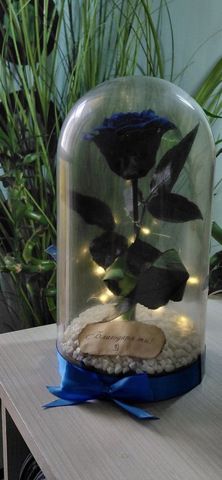 Светеща вечна роза в стъкленица