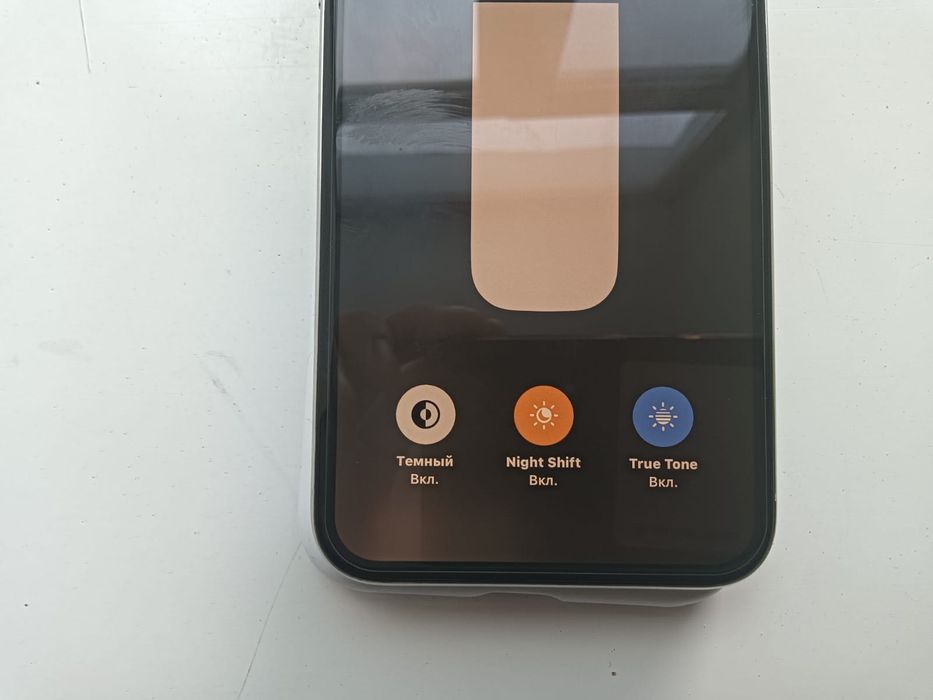 iPhone X 256 GB 100%