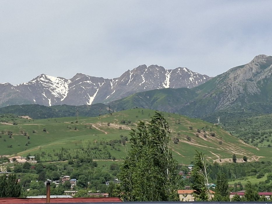 Dacha бочкада покиза дача