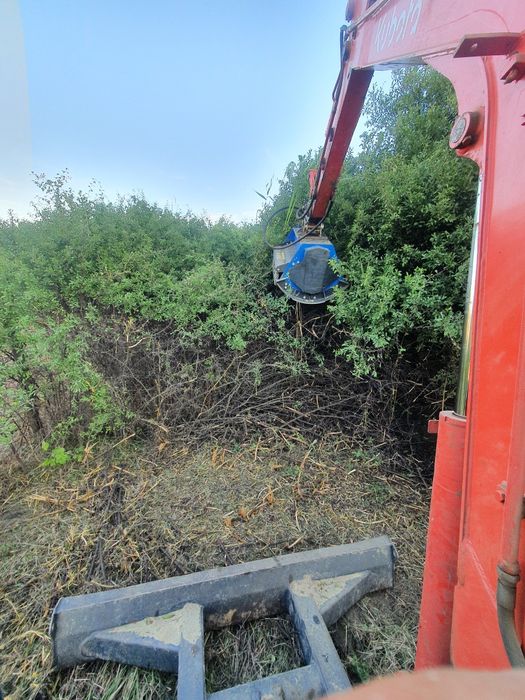 Defrisat tocat curățat terenuri