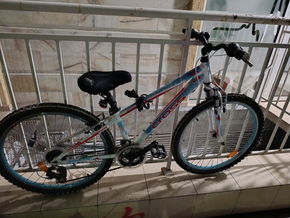 Колело бялосиньо