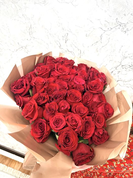Свежие метровые красные бархатные розы