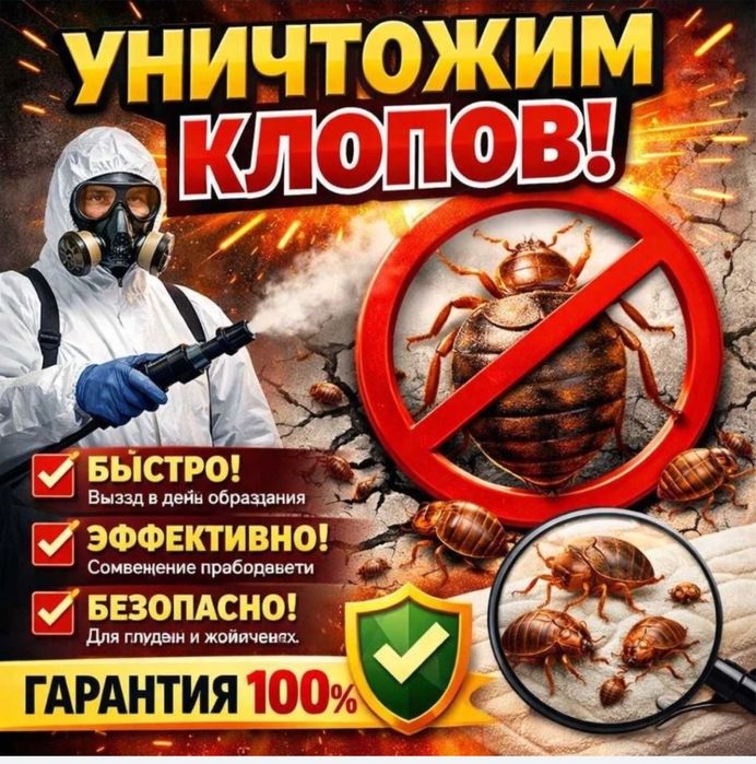 Дезинфекция Алматы от 5000тг.