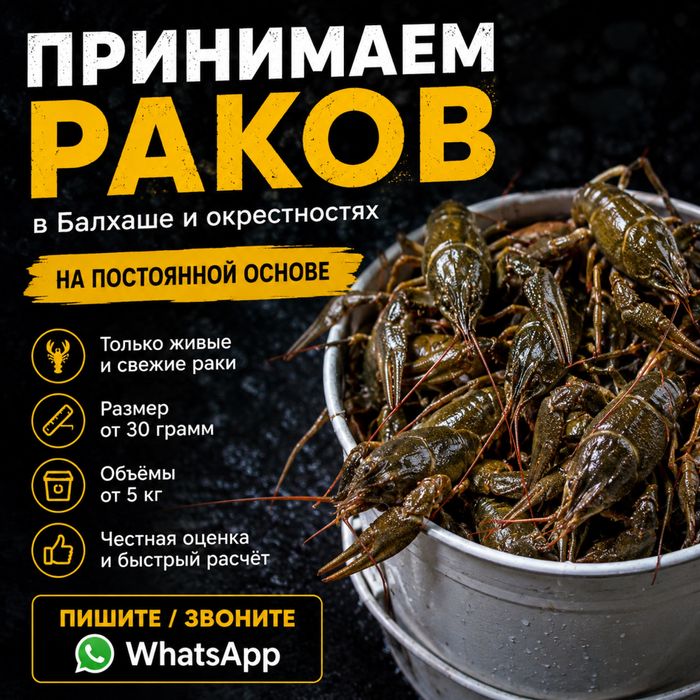 Принимаем раков.