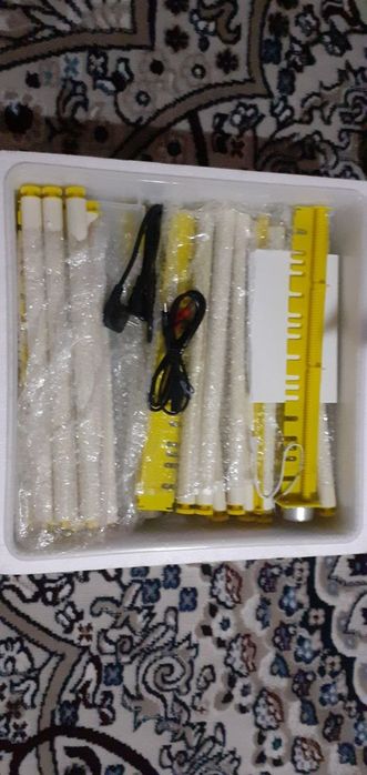 Inkubatorning zoʻri