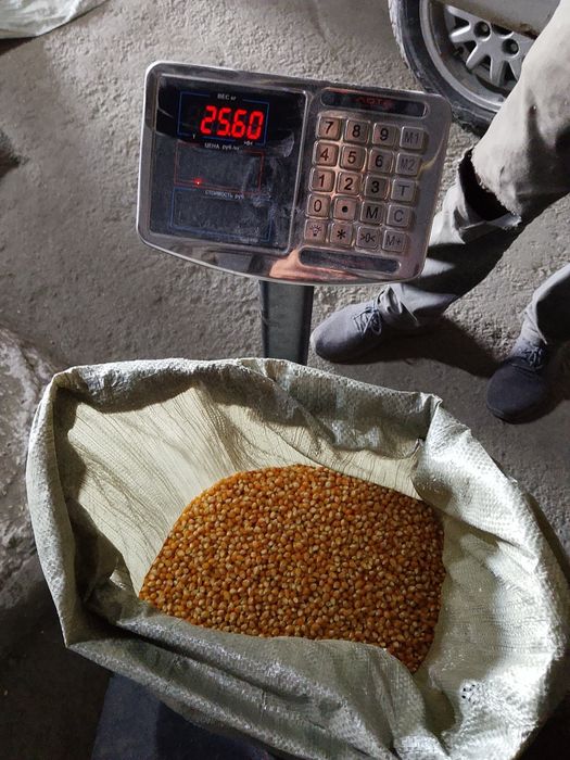 продам Американский попкорн