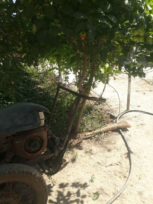 Beda uradigan kasilka