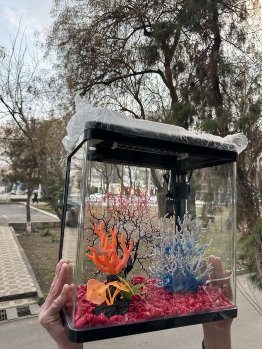 Akvarium xitoy mini new