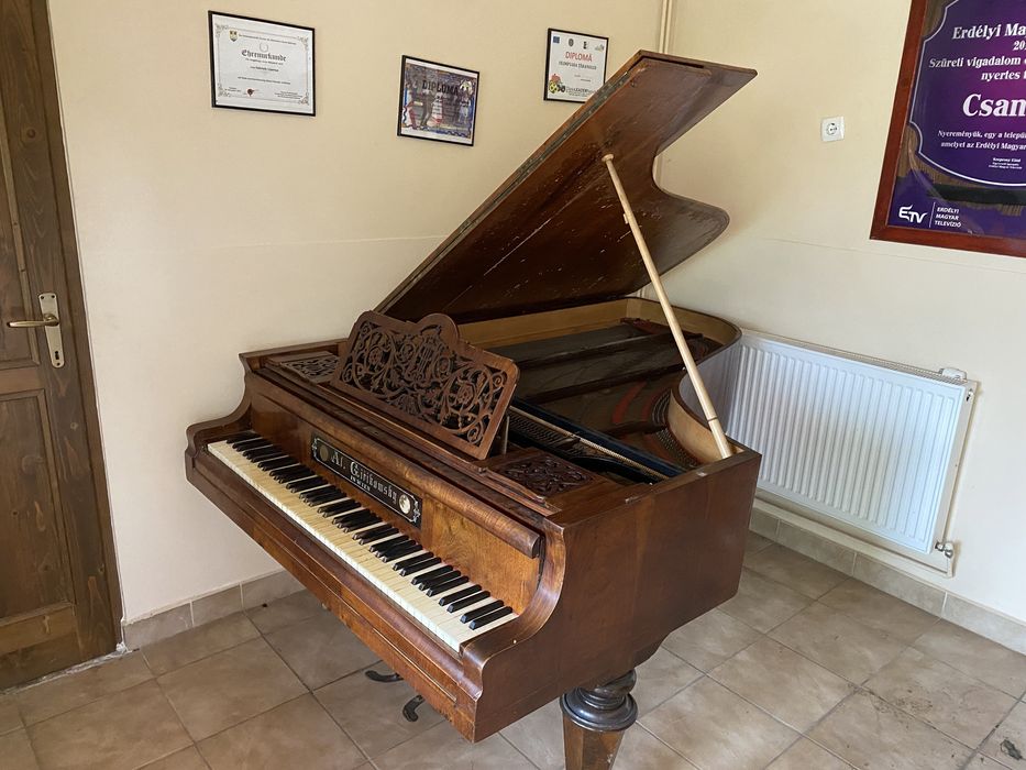 Pian Vienez anii 1890-1900 Alois Girikowsky