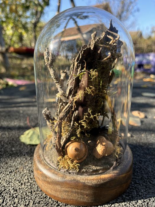 Insectar insecte bijuterie cadou