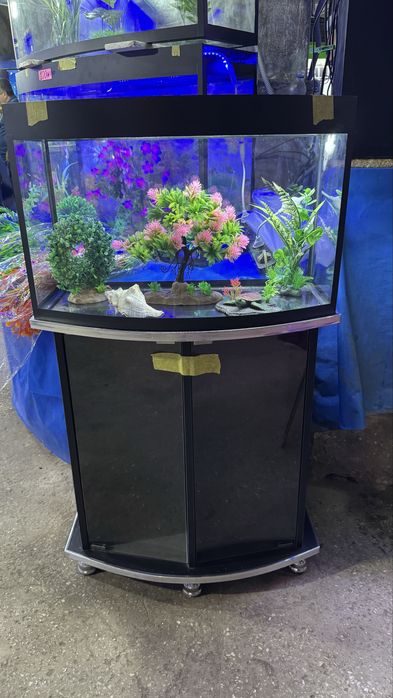 Аквариум с подставкой — идеален для дома и офиса