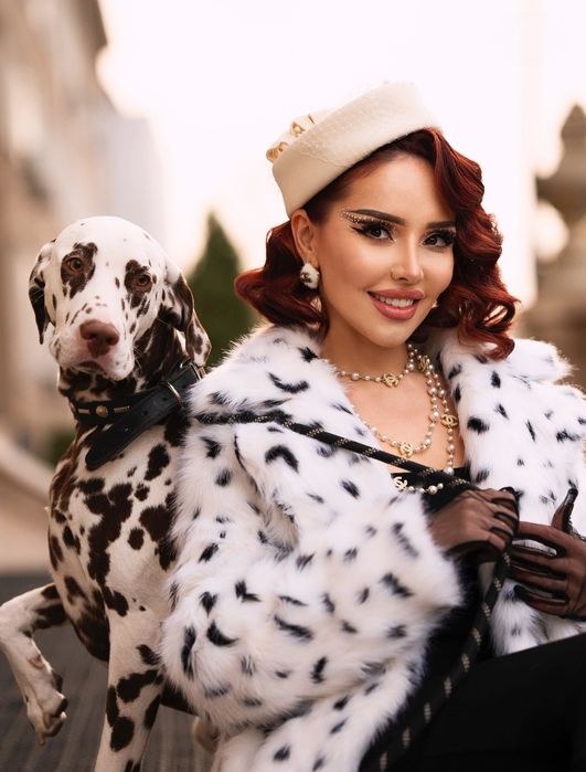 Далматин на фотоссесию