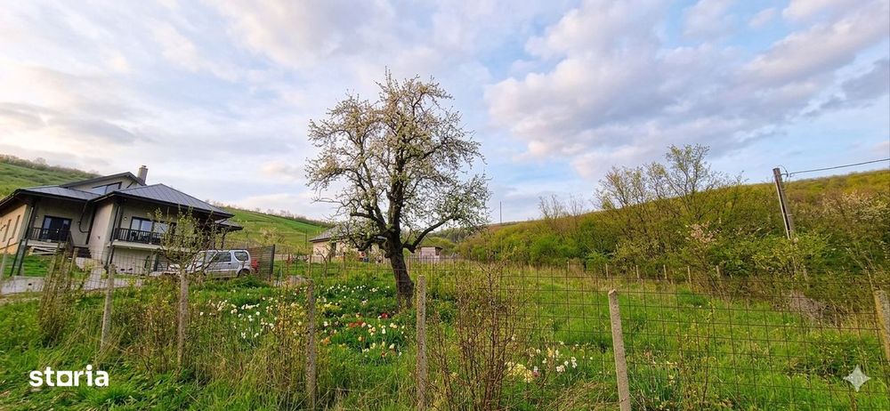 Teren intravilan, 1026 mp, deschidere doua drumuri, Tomești, Iași