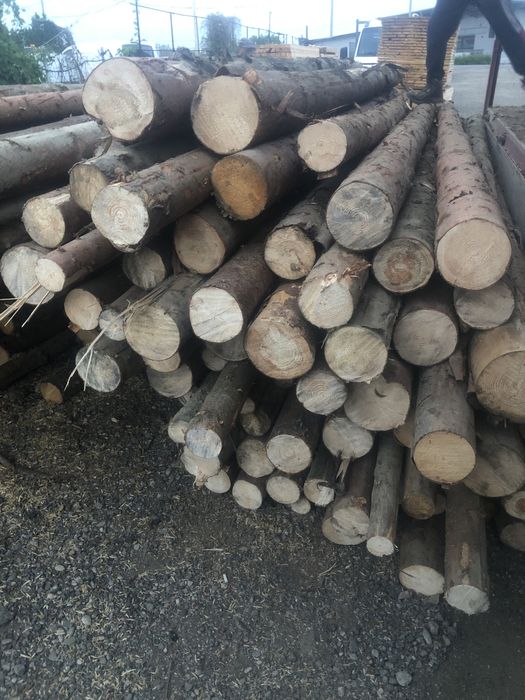 BILE MANELE ( lemn rotund subrire)