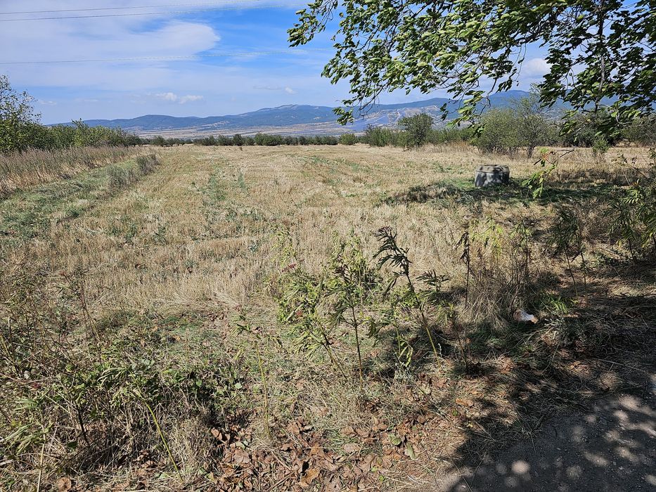 Продава се Парцел в Сапарева баня - 3096 кв.м за 7 €/кв.м - Снимка #1