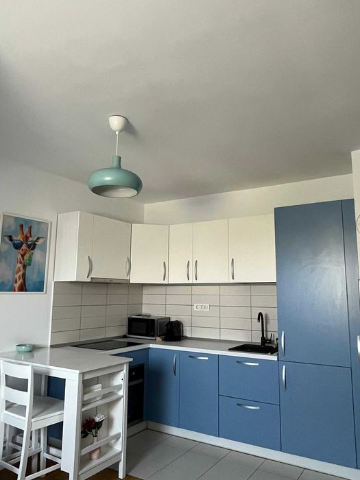 Apartament 2 camere, zona Parcul Carol/Unirii