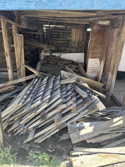 Ағаштар тегін беріледі (1камаз шыгады)