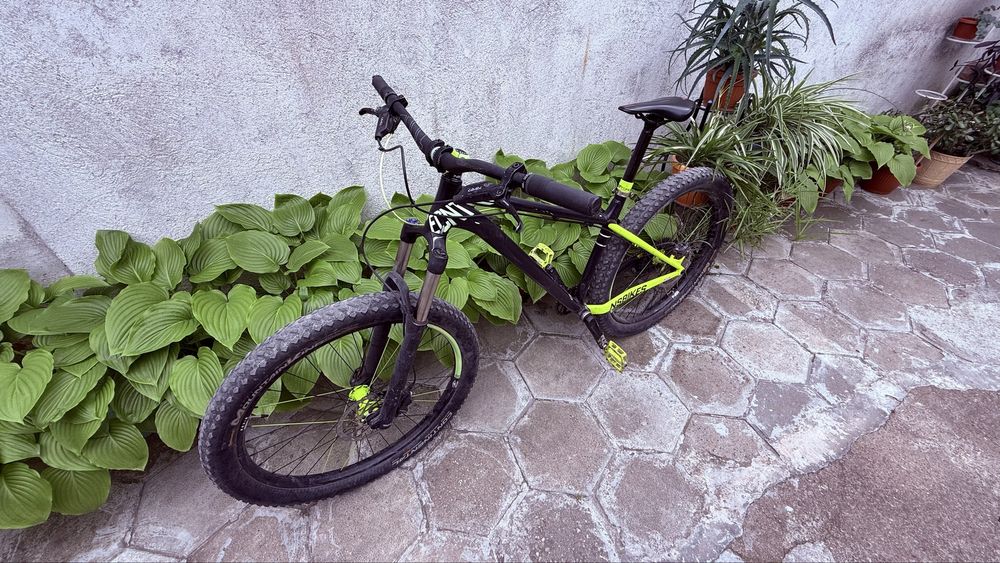 NS Bike Eccentric Djambo 1
