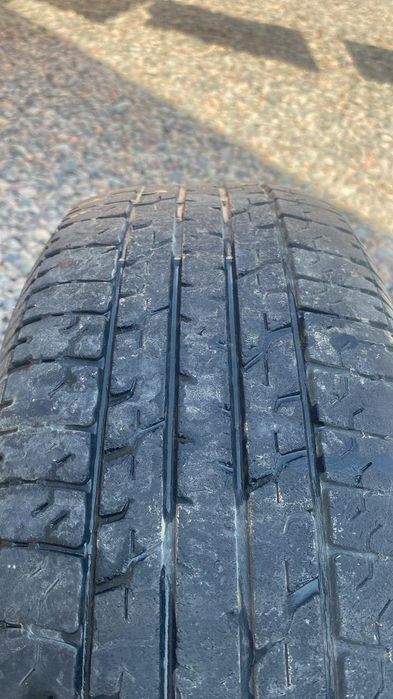 Жаздык донгелектер