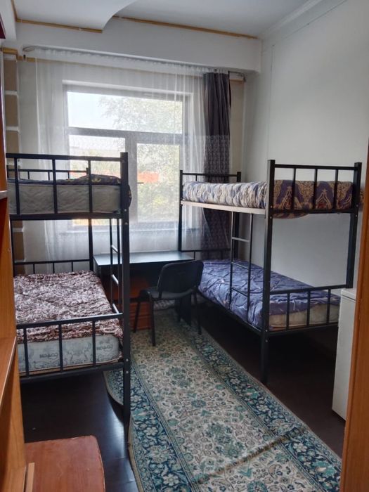 Общежитие/хостел