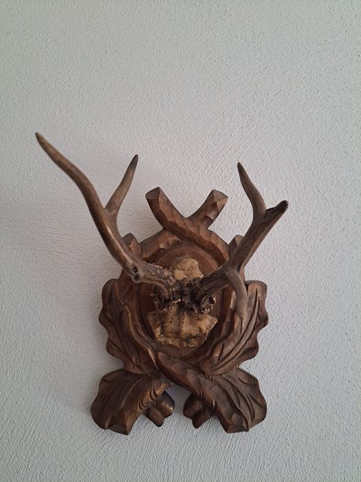 Coarne căprior pe suport sculptat