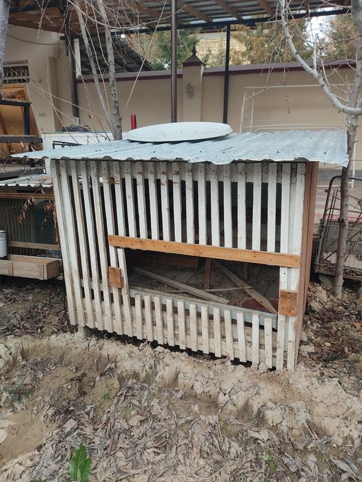 Товук ва хархил парандалар учун катак куй боксаям булади