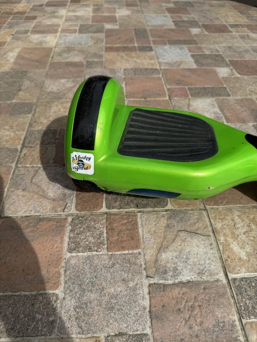Hoverboard monkey