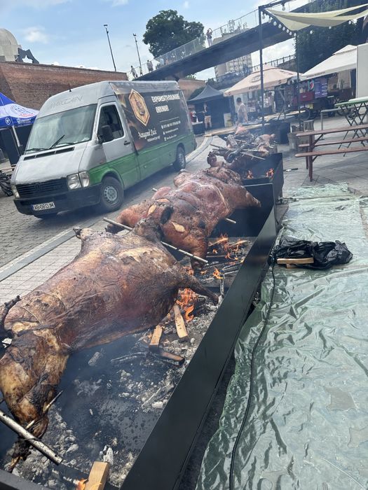 Protap de porc, vitel, berbecut, oaie, pui, curcani