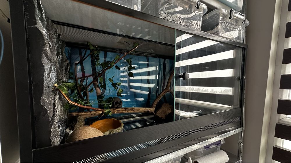 Террариум для рептилий