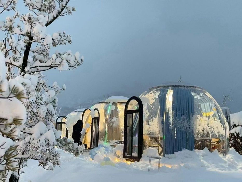 Tent cort glamping iglu