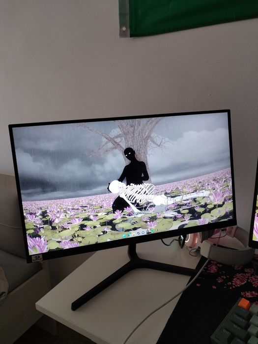 Монитор DEXP 100hz