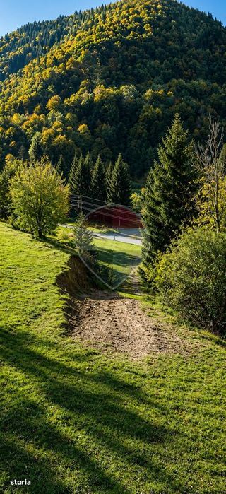 Teren intravilan 2500mp | Zărnești | Parcul Național Piatra Craiului
