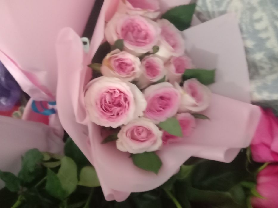 Роза гүл сатылымда