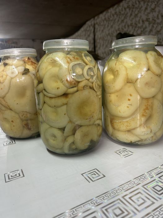 Продам вкусные грузди