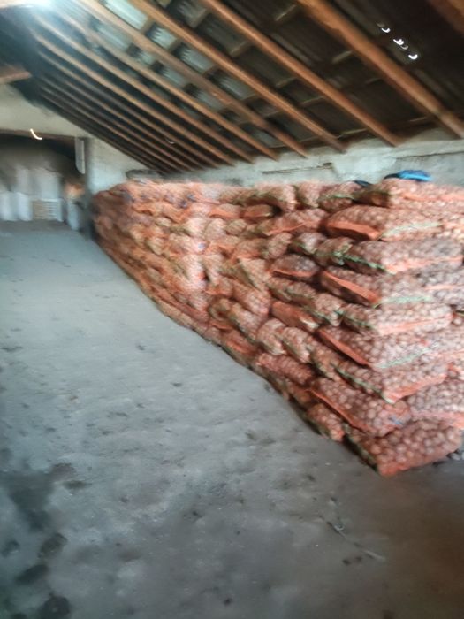 Cattofi consum , samanta sí pentru animale