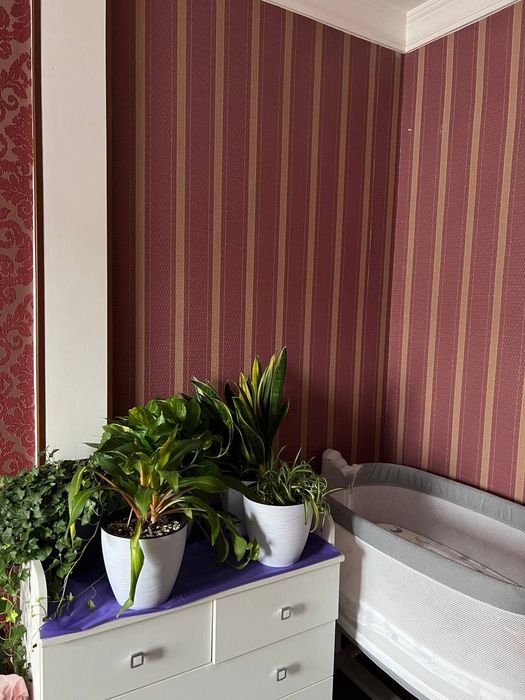 Ташкент Сити Дружба Нархоз 9 дом продается 2 комнатная