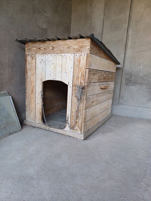 Katta kuchuklar uchun in