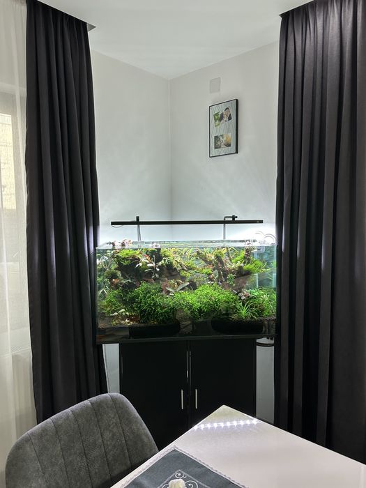 Acvariu 200 high-tecg, filtru Oase 850,lampa profesionala, co2 acvariu