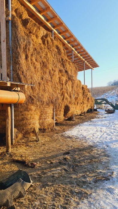 Vând Baloți / Fân