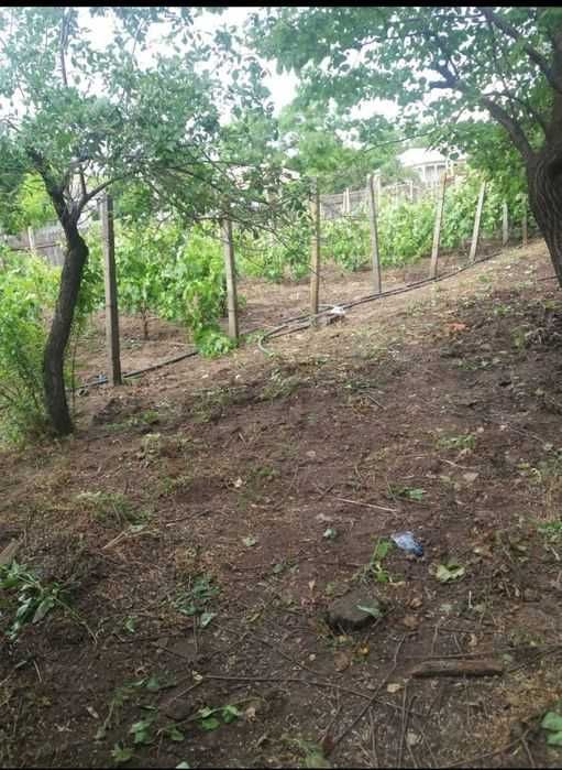 Casa canzare zona neinundabilă cudalbi