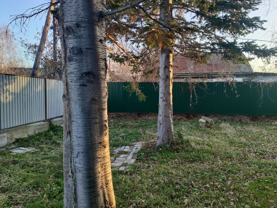 Продам дом в Тарханке