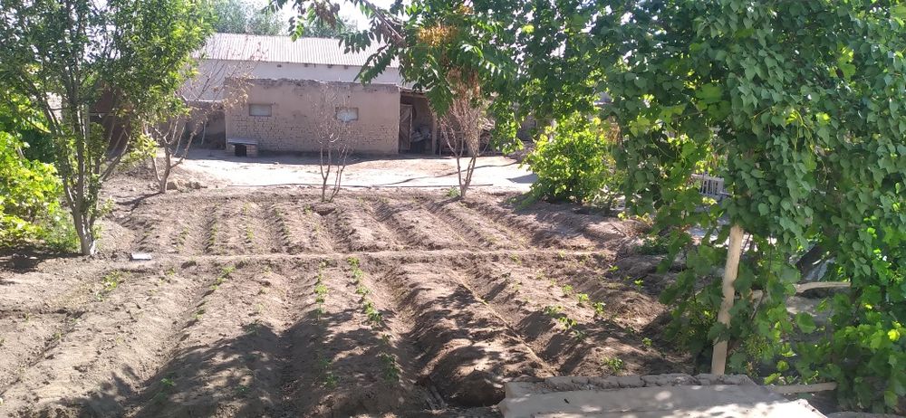 Уй сатылады Хожели гоне қала Қазақ ауылда