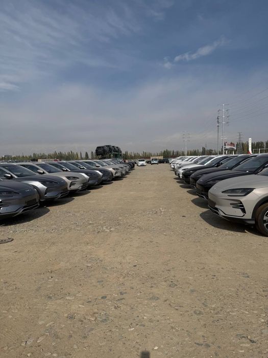 Byd champion smart 2026 фулл позиция