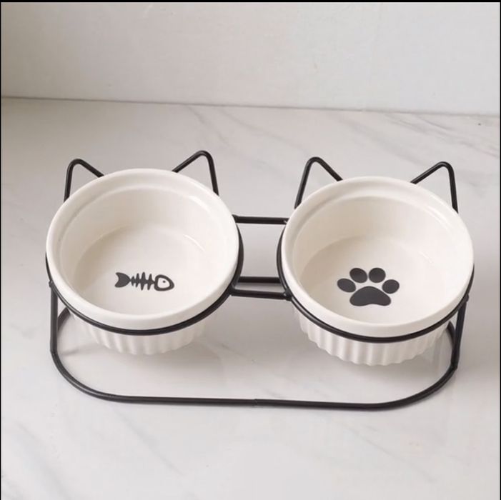 Котик кошка красивый