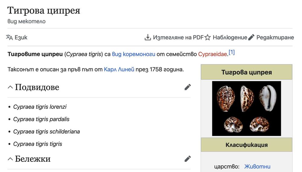 Морска раковина Тигрова Ципрея